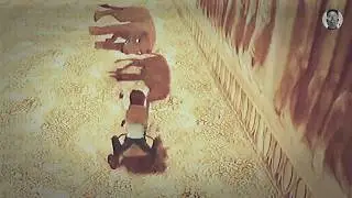 Tomb Raider 1 Remastered - Colosseum - All Secrets