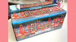 Flamingo 🦩💥 firework