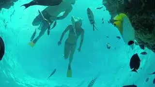 Active Discovery Experiences