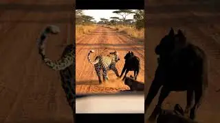 Ultimate Roadside Standoff: Guardian vs Predator