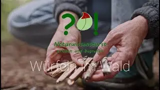 Würfeln im Wald | Naturwissensdurst