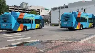 Buses in Birmingham, Alabama 2025