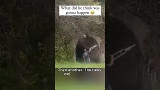 Guy on Crutches Has Unexpected Run-In With Bees
