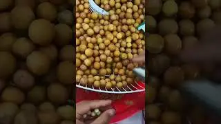 Uses of uryale Ferox Aquatic Plant Seeds #shorts