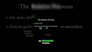 Reviewing the Latin Relative Pronoun Qui, Quae, Quod Explained #latin #tutorial #grammar