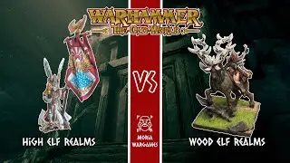 High Elf Realms vs Wood Elf Realms | Warhammer The Old World | 2000p Break Point
