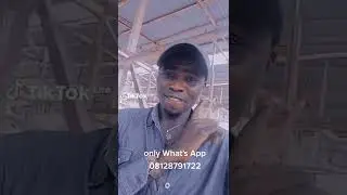 Am Obedient 2023