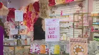 Chicagoland shops push Small Business Saturday 'do-over' after snowstorm