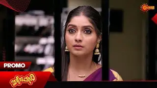 Chikkejamani- Promo | 17 Jan 2026 | Kannada Serial | Udaya TV