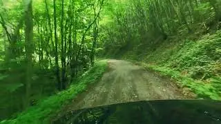 Middle Road to Max Patch