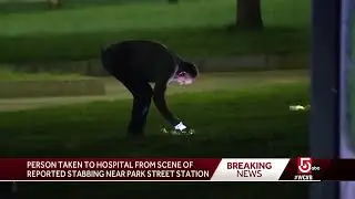Person hospitalized after report of stabbing near Park Street Station