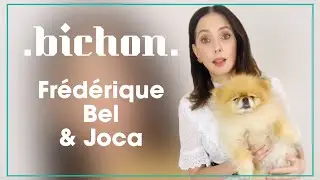 BICHON - Frédérique Bel et son chien Joca