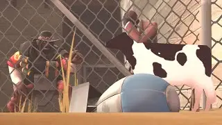 MOO- (SFM TF2 Animation)