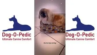 Dog-O-Pedic Memory Foam Throne Love Story