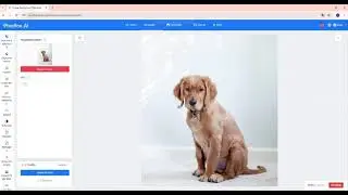 Pixelfox.AI！Image Background Remover with Free AI