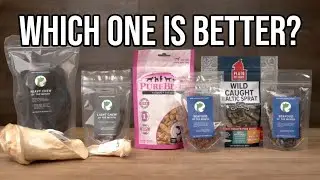 best healthy dog treats review