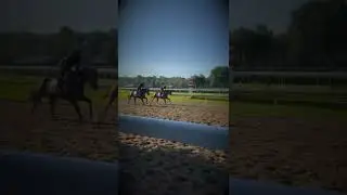 Mornings at Saratoga Race Course - Saratoga Springs, NY