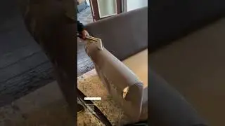 EnviroSteam Carpet and upholstery steam cleaning extraction