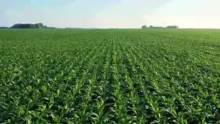 AGRERTO CHEMICALS FERTILIZER INTRO