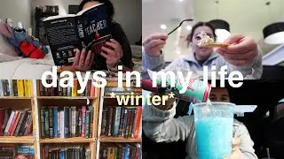 winter days in my life | at home vlog, reading days, cleaning & reset, McKay bookstore, and more