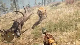 Far Cry Primal The Flamefang Sabertooth Tiger vs The Tall elk