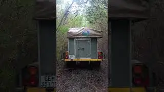 Into the wild we go