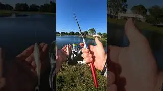PEN FISHING ROD 😲 #bassfishing #shorts
