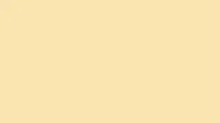 COLOR PASTEL PEACH in HD