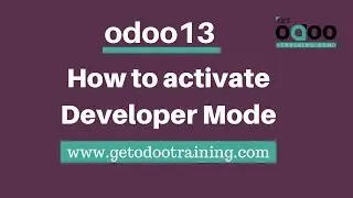 odoo 13 - How to Activate Developer Mode