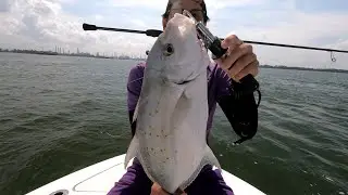 Chasing the Trevally Slam Part 1
