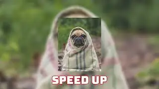 Ed Sheeran - Shivers (Speed Up / Fast / Nightcore)