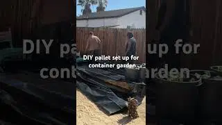 Pallet set up for container garden!
