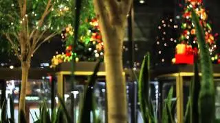 Penton Media Holiday Decorations by Plantscaping