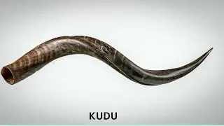 Indigenous wind instruments