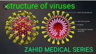structure of viruses|difference between viroids,virions,prions and virus|ZAHID MEDICAL SERIES