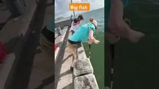 #fishingvideos #fishinginthedark #fishingknots #fishingplanet #fishingwithnorm #fishingvideosnew