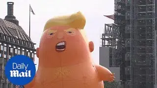 Take a look at the Donald Trump baby blimp from all angles