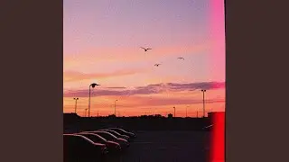 Seagull City