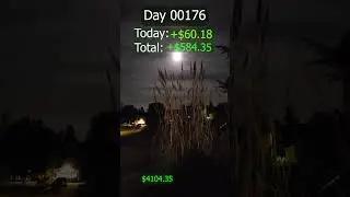 Day 176 Invest $20 bucks a day. Today +.036#VOO@554.17