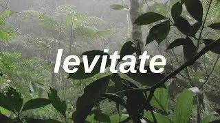 levitate // twenty one pilots (lyrics)