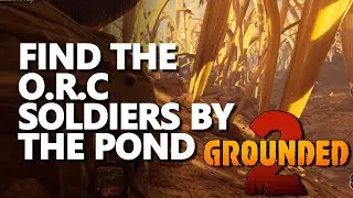 Find the O.R.C soldiers by the Pond Grounded 2
