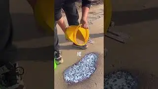 He Fixed a Pothole for $3
