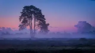 new order - world in motion | doomerwave