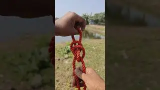 Smart Rope Knot Hack You&rsquo;ve Never Seen 👍👍#shorts #ropeknot #knotting