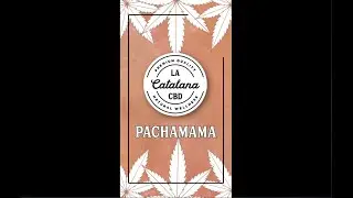 La Catalana CBD y PutoLargo en House Plant Tres Cantos