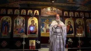 Homily 01.11.25