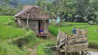 KEINDAHAN ALAM PEDESAAN..BIKIN NANGIS😭NENEK HIDUP SEBATANG KARA DI RUMAH REYOT