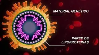 &iquest;Qu&eacute; es el Coronavirus y cu&aacute;les son sus s&iacute;ntomas?