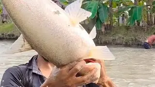 Fish Hunter Jump To Catch A Big Monster Fish.  #fishing #fishingtrip #viralreelsシ #viralreelsシ