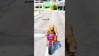 GTA V : Dogs teach us love in its purest form P-78 🥺| #shorts